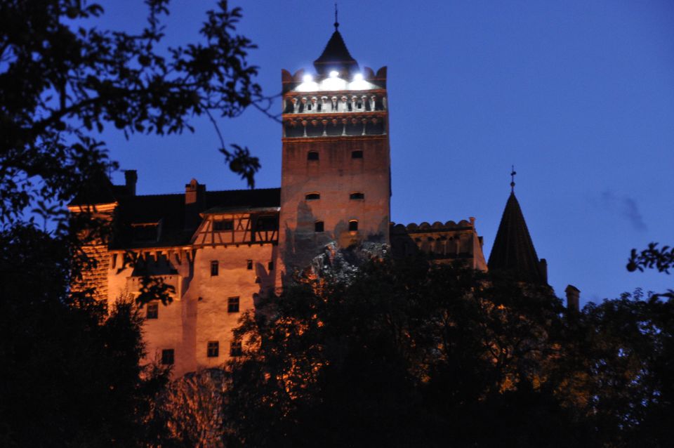 Brown Bear Sanctuary, Bran Castle & Rasnov Fortress Day Tour - Transportation and Comfort