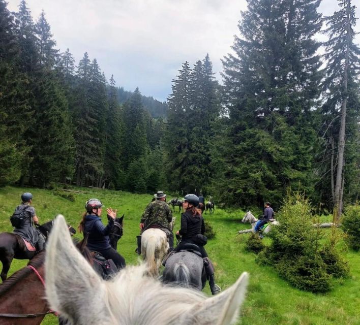 Bucharest: Horseback In the Nature and Traditional Lunch - What to Bring