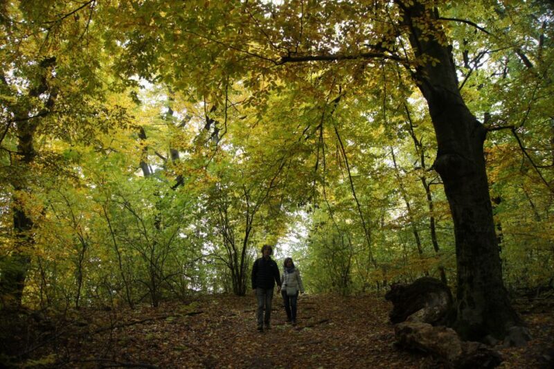 Budapest: Buda Hills Guided Hiking Tour With Optional Lunch - Inclusions and Exclusions