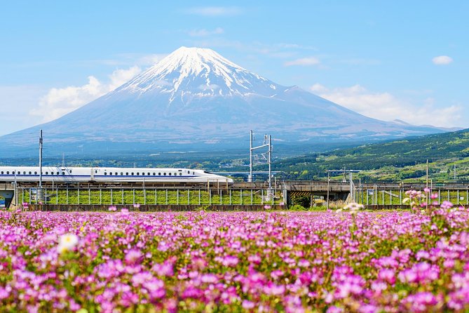 Bullet Train and Mt. Fuji Famous Food Tour - Accessibility and Family Guidelines