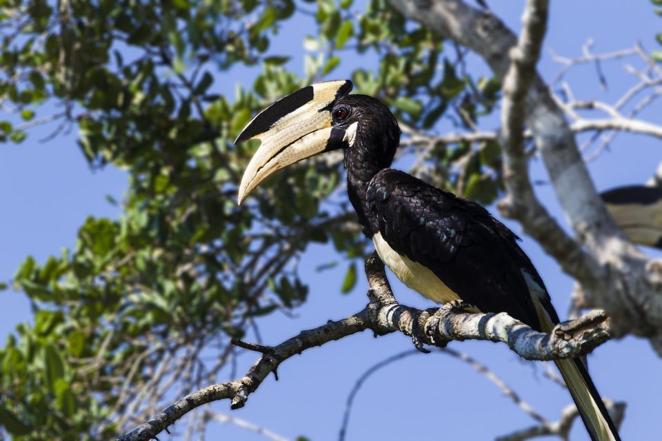 Bundala National Park Safari - Birding Paradise Tour - Customer Reviews and Feedback