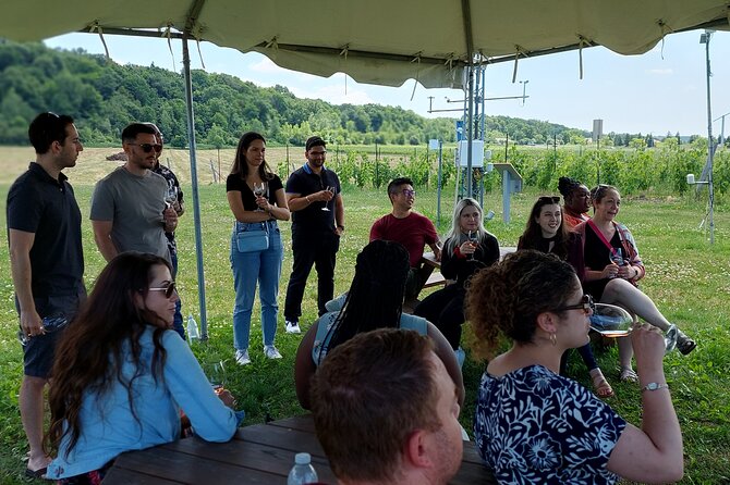Burst Out and Bubble Up Ice Wine Tour - Seasonal Experiences