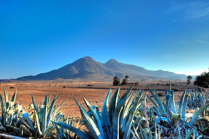 Cabo De Gata Natural Park From Roquetas, Aguadulce & Almeria - Exploring the Rugged Landscapes