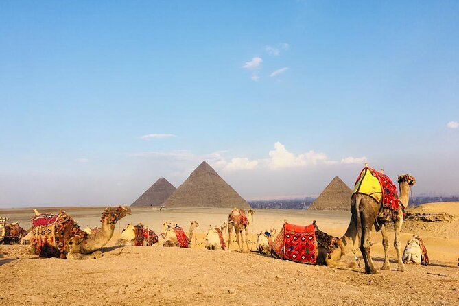 Cairo Sightseeing Tour (Giza Pyramids + Museum + Khan El Khalili Bazaar) - Traveler Reviews and Ratings