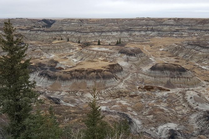 Calgary to Royal Tyrrell Museum | Drumheller – PRIVATE TOUR - Visiting the Royal Tyrrell Museum