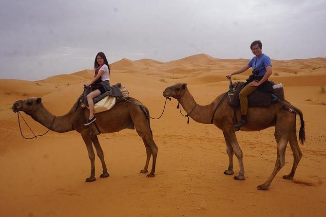 Camel Ride in Erg Chebbi Desert, 1 Night in Berber Private Tent - Reviews and Feedback