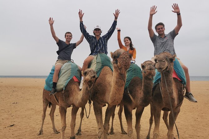 Camel Ride in Tanger - Tips for a Memorable Experience
