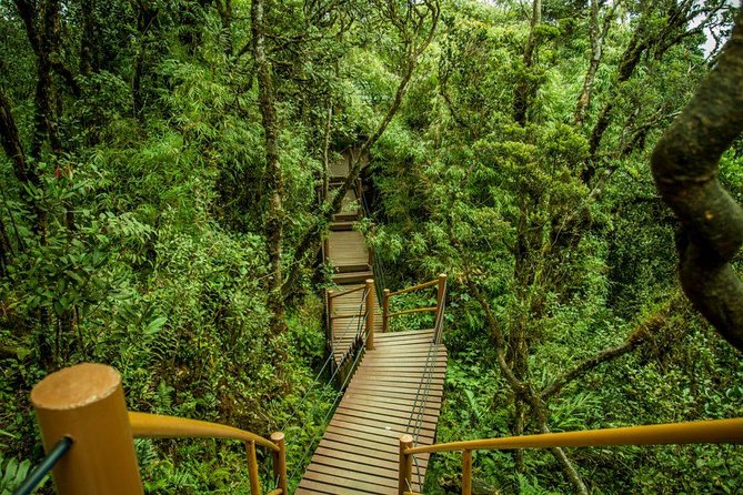 Cameron Highland Day Tour From Kuala Lumpur - What to Expect on the Tour