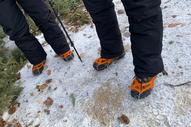 Canmore: Wilderness & Wildlife Walking Tour - 2hrs - Wilderness Exploration