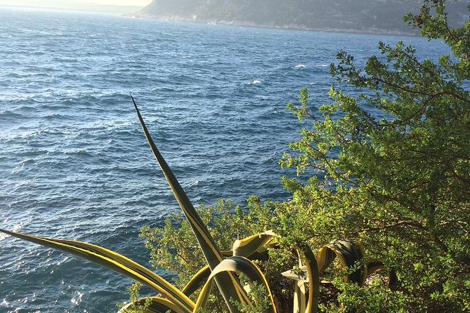 Cannes Large Group Shore Excursion - Customizable Itinerary Options