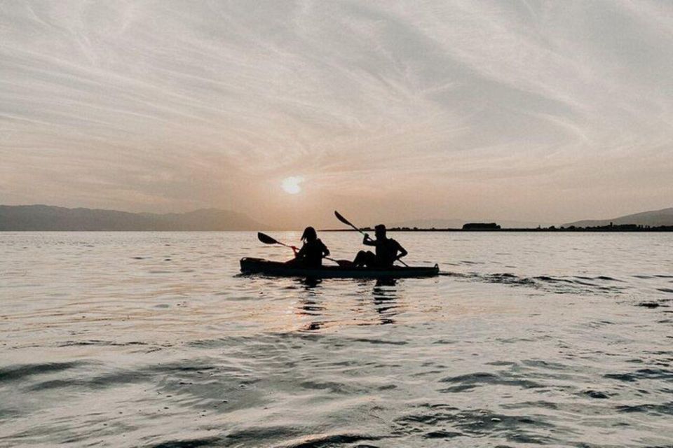 Canoeing in Port City - Spotting Marine Life and Birds