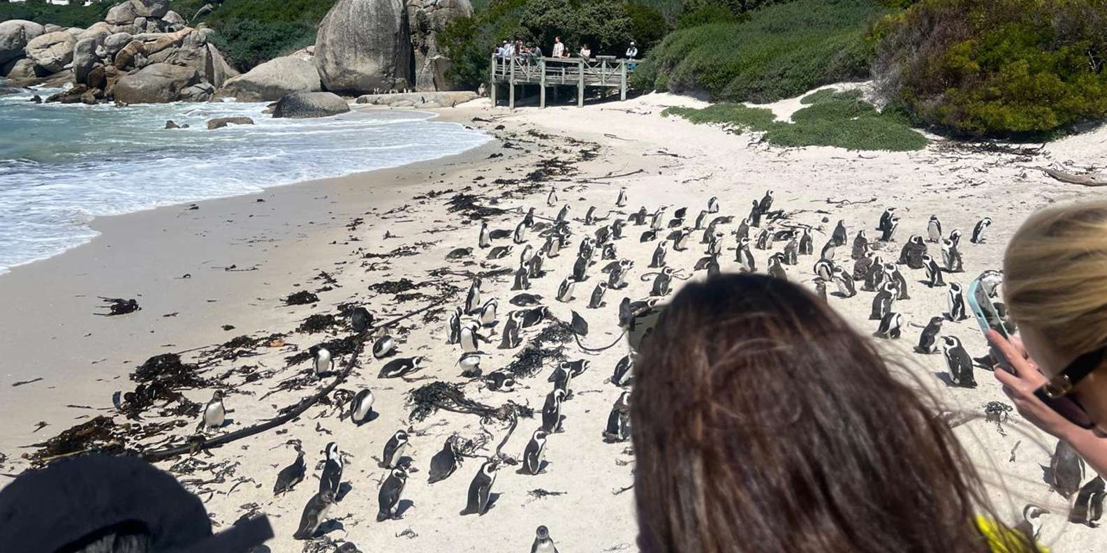 Cape Town: Cape of Good Hope and Boulders Beach Private Tour - Admiring the Cape of Good Hope