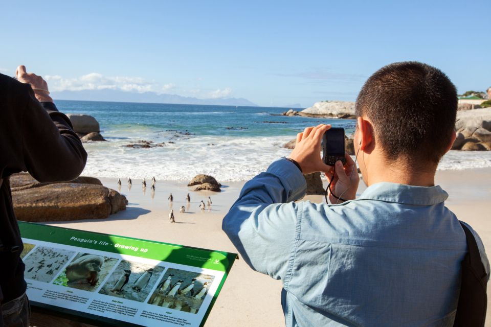 Cape Town: Cape Point and Penguin Colony Full Day Tour - Cape Point and Landscapes