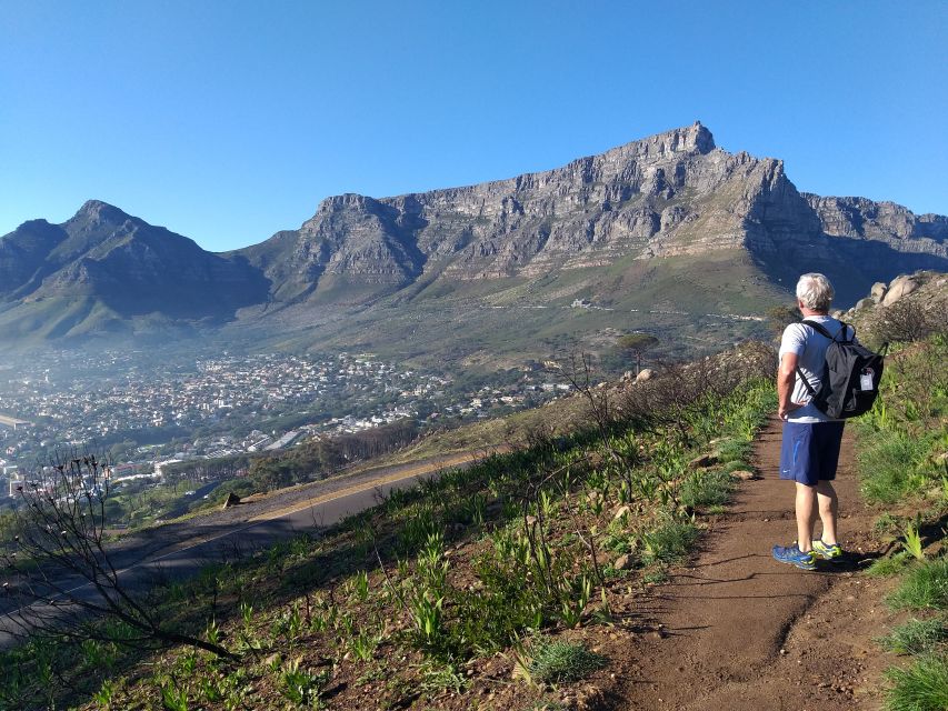 Cape Town: Lions Head Sunrise Hike - What to Expect on the Hike