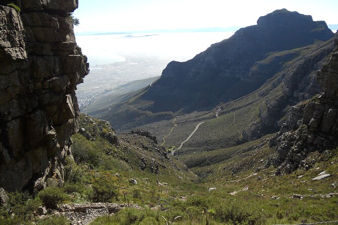 Cape Town: Platteklip Gorge Half-Day Hike on Table Mountain - Tour Requirements
