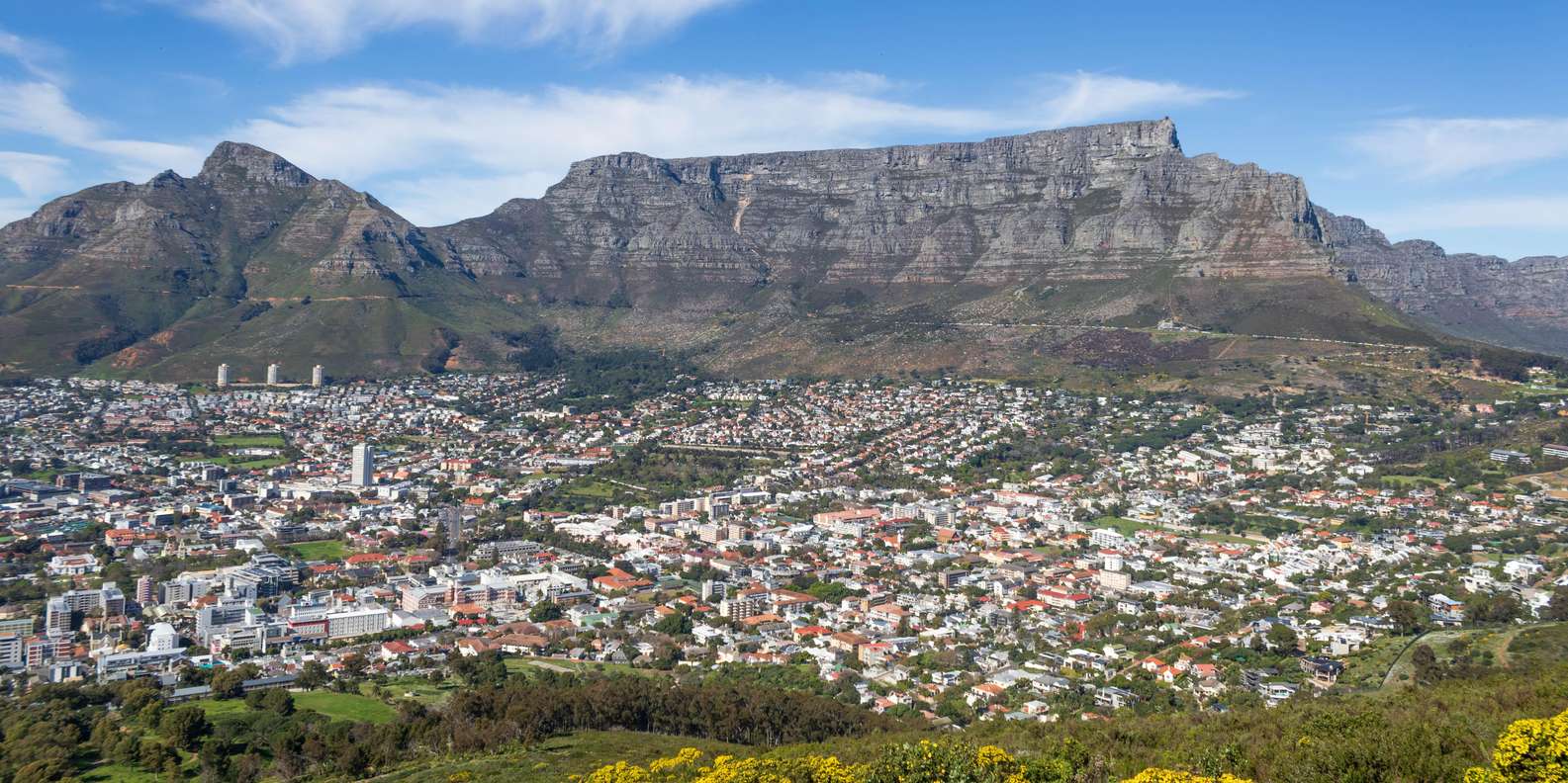 Cape Town: Private Full Day City & Winelands Tour - Experiencing the Citys History and Culture