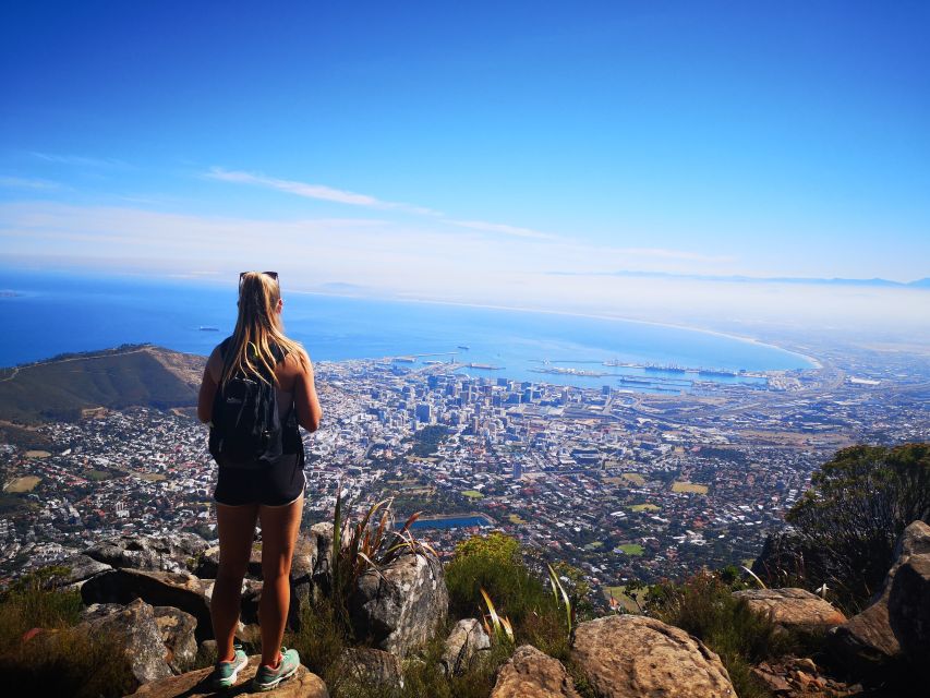 Cape Town: Table Mountain Half–Day India Venster Hike - Inclusive Activities and Considerations