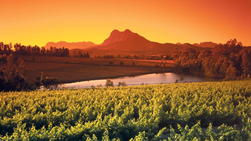 Cape Town Wine Tour (Paarl, Stellenbosch & Franschhoek) - Drakenstein Prison Visit