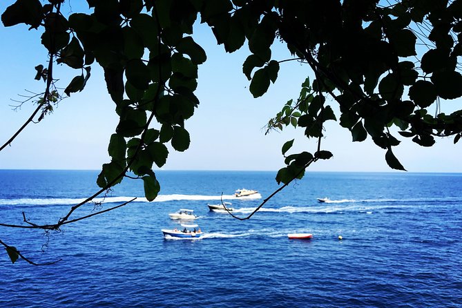 Capri Island With a Local Expert Guide - Priority Access and Front-of-Line