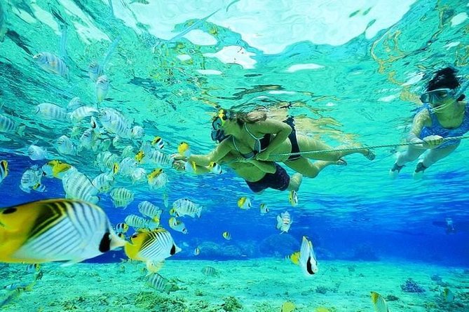 Catamaran Adventure Full Day: Ile Aux Cerfs,Grse Waterfall,Snorkeling &Bbq Lunch - Customer Experiences