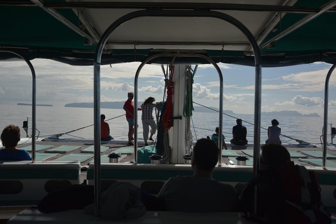 Catamaran Day Cruise to Desertas Islands From Funchal - Pricing and Booking Details