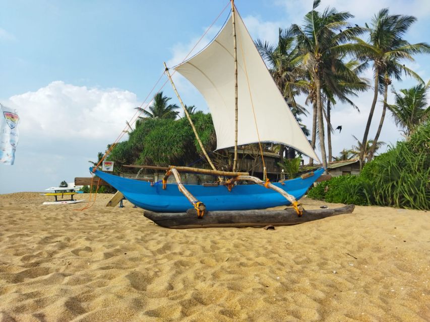 Catamaran Sunset Sailing in Mount Lavinia - Additional Information