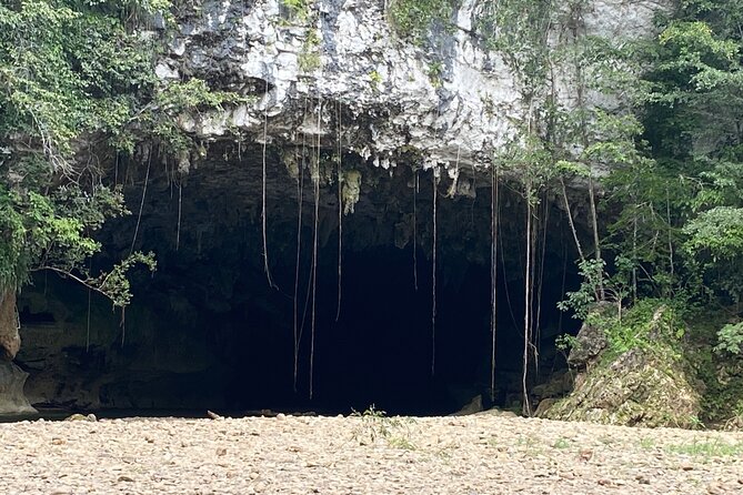 Cave Tubing Paradise and Baboon Sanctuary - Availability and Accessibility