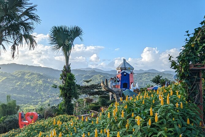 Cebu City With Sirao Garden Half Day Tour - Discovering Fort San Pedro