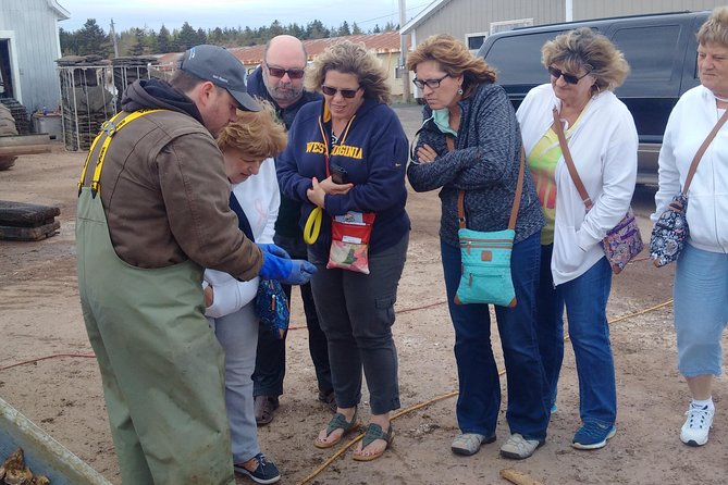Central PEI Winery, Apiary and Mead Tasting Tour - Discover Artisan Offerings