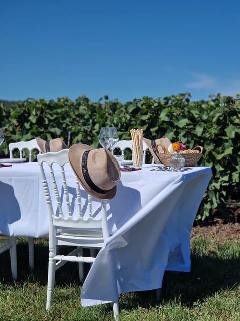 Champagne Vineyards Picnic - Tour Guide Services