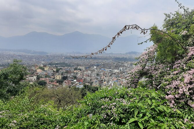 Chandrigiri Hill Cable Car and Monkey Temple Tour - Inclusions and Benefits