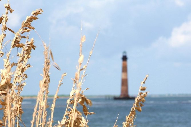 Charleston TourPass 1-Day Pass - Includes 40 Top Tours - Feedback From Users