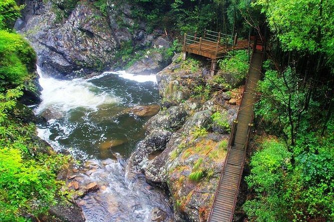 Chengdu Private Day Tour: Du Jiang Yan Panda Base and Qingcheng Mountain - Accessibility Information