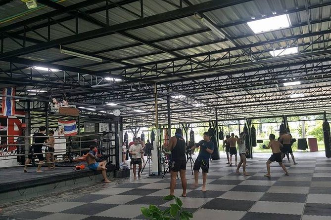 Chiang Mai Muay Thai Boxing Experience - Reviews and Testimonials