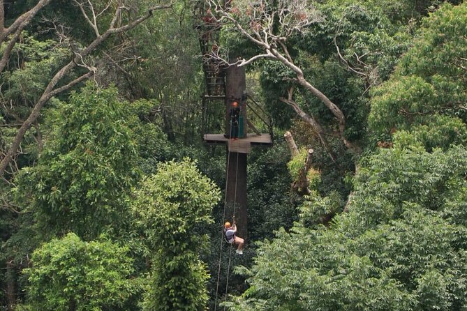 Chiang Mai Zip Line Experience - Family-Friendly Adventure