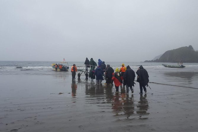 Chiloe Island - Puñihuil Tour - Tour Details and Inclusions