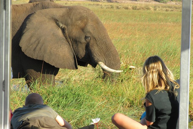 Chobe Day Trip From Victoria Falls Zimbabwe - Cancellation and Refund Policy