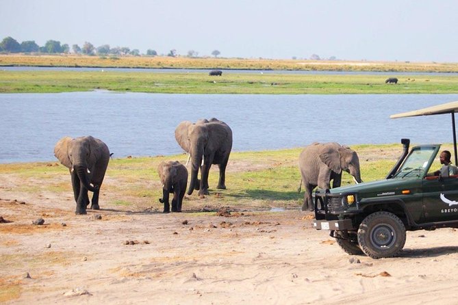 Chobe Day Trip To Botswana From Livingstone - Chobe National Park Highlights