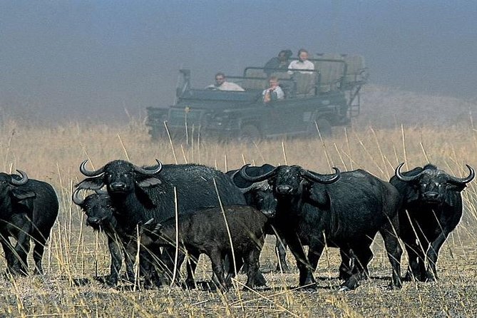 Chobe Full Day Trip From Victoria Falls - Essential Travel Documents