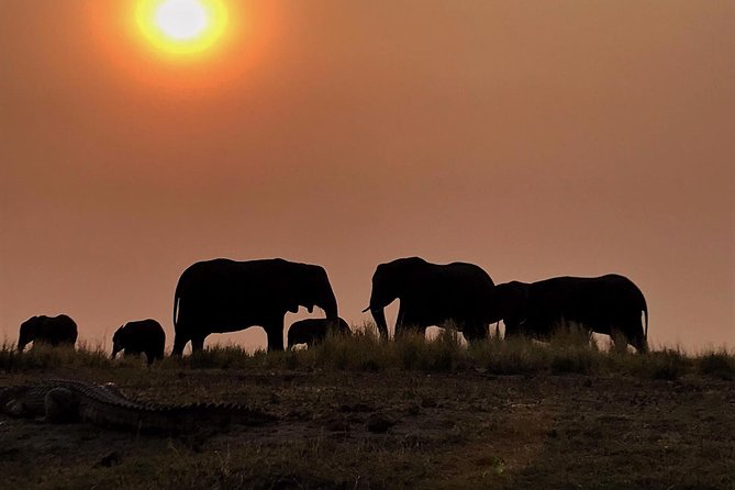 Chobe National Park 1 Night Camping-Botswana - Pricing Details