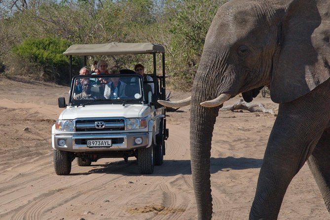 Chobe National Park Game Drive, Botswana - Reviews and Ratings