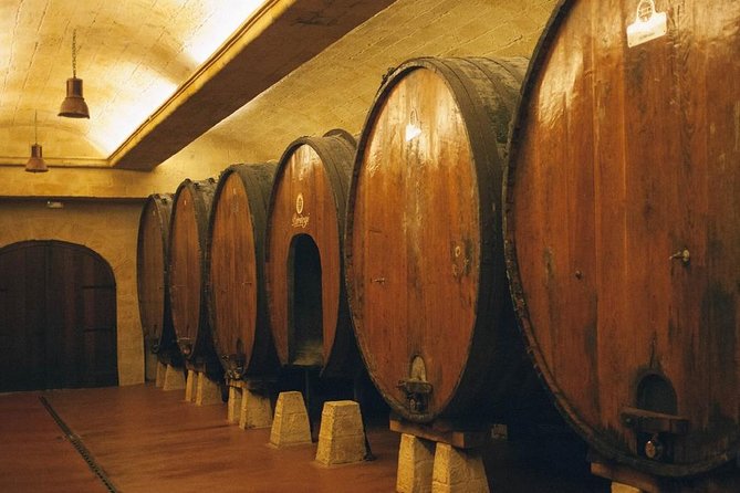 Cider House Experience From San Sebastian - Tour Highlights and Reviews