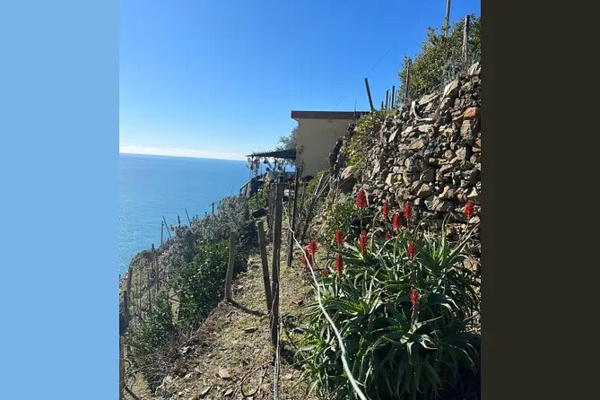 Cinque Terre: Pesto Cooking Class With Sea View in Riomaggiore - Exceptional Customer Reviews and Experiences