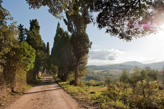 Cinta Senese Farmhouse Tour With Light Lunch in Montepulciano - Local Wine Tasting