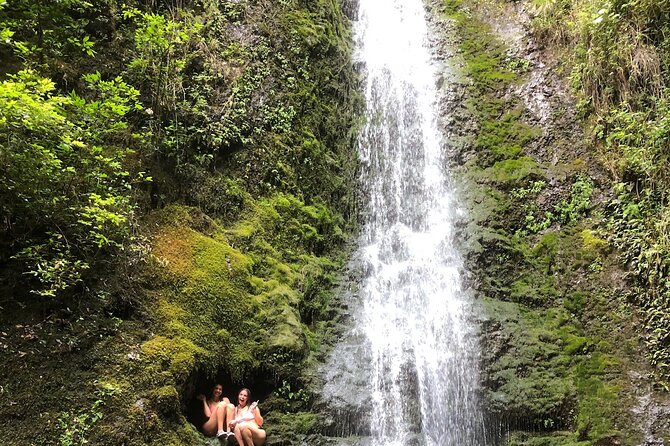 Circle Island Tours - Swim With Turtles,Private & Small Group Tours - Customer Experiences