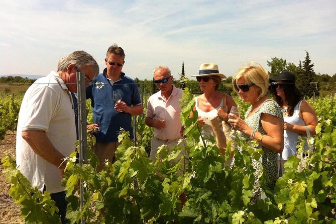 Cité De Carcassonne and Wine Tasting Private Day Tour From Toulouse - Highlights of the Experience
