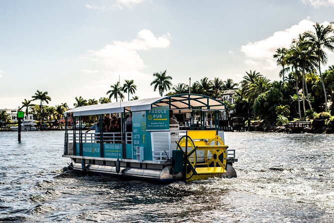 Clearwater Island Hop and Dolphin Watch With Swimming - Customer Feedback and Highlights
