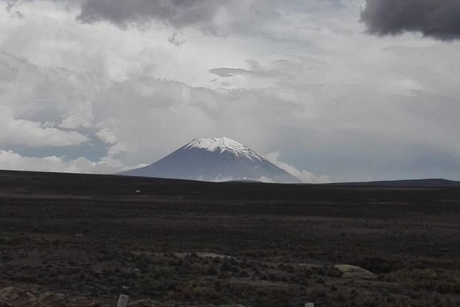 Colca Canyon Sightseeing Tour 2D1N and Transfer to Puno - Customer Reviews
