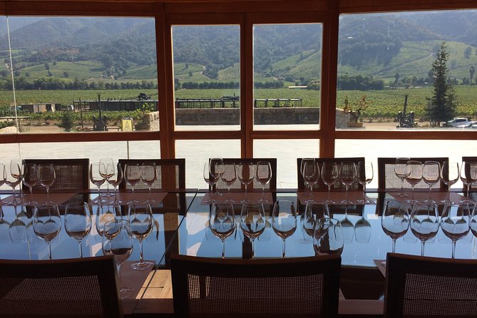 Colchagua Valley Experience - Accessibility and Participation Details