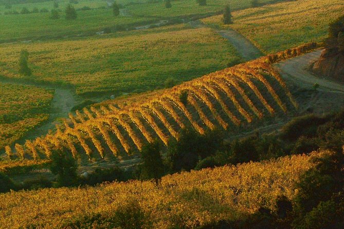 Colchagua Valley Winery Day Trip From Santiago - Pickup and Meeting Details